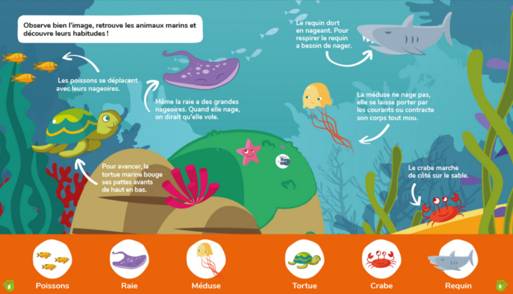 Fiche informative sur les animaux marins