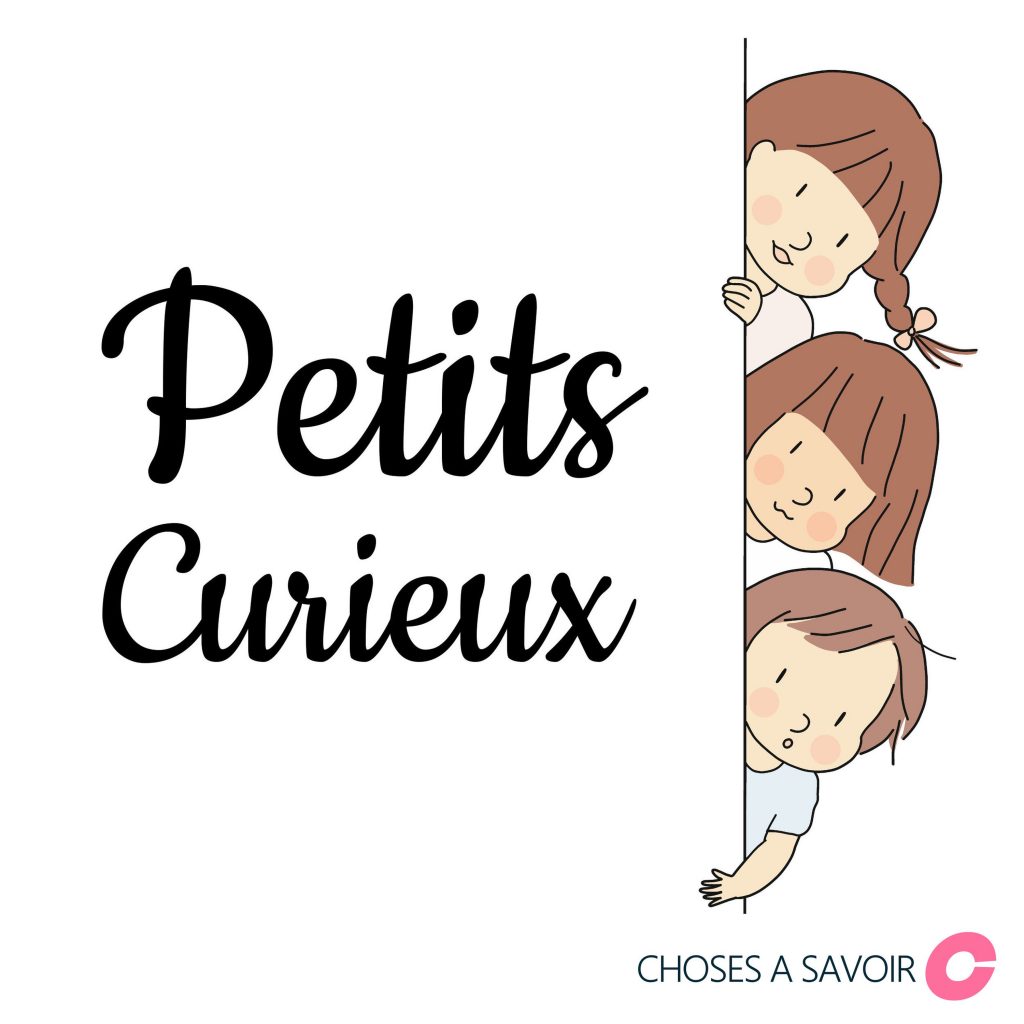 Logo podcast petits curieux